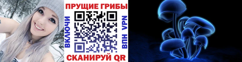 Купить закладки Вяземский Псилоцибиновые грибы Magic Shrooms